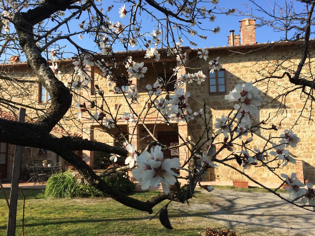 Agriturismo Podere San Gregorio Пиенца Екстериор снимка